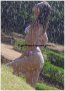 Flower - Your VIP International Companion